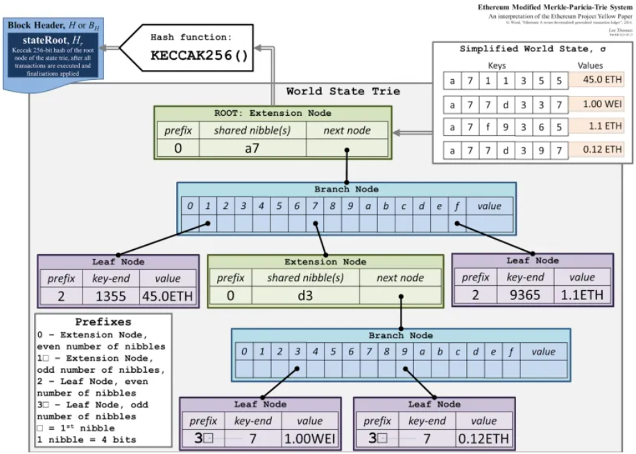 Technical diagram showing the hierarchical structure of Ethereum's Modified Merkle-Patricia Trie