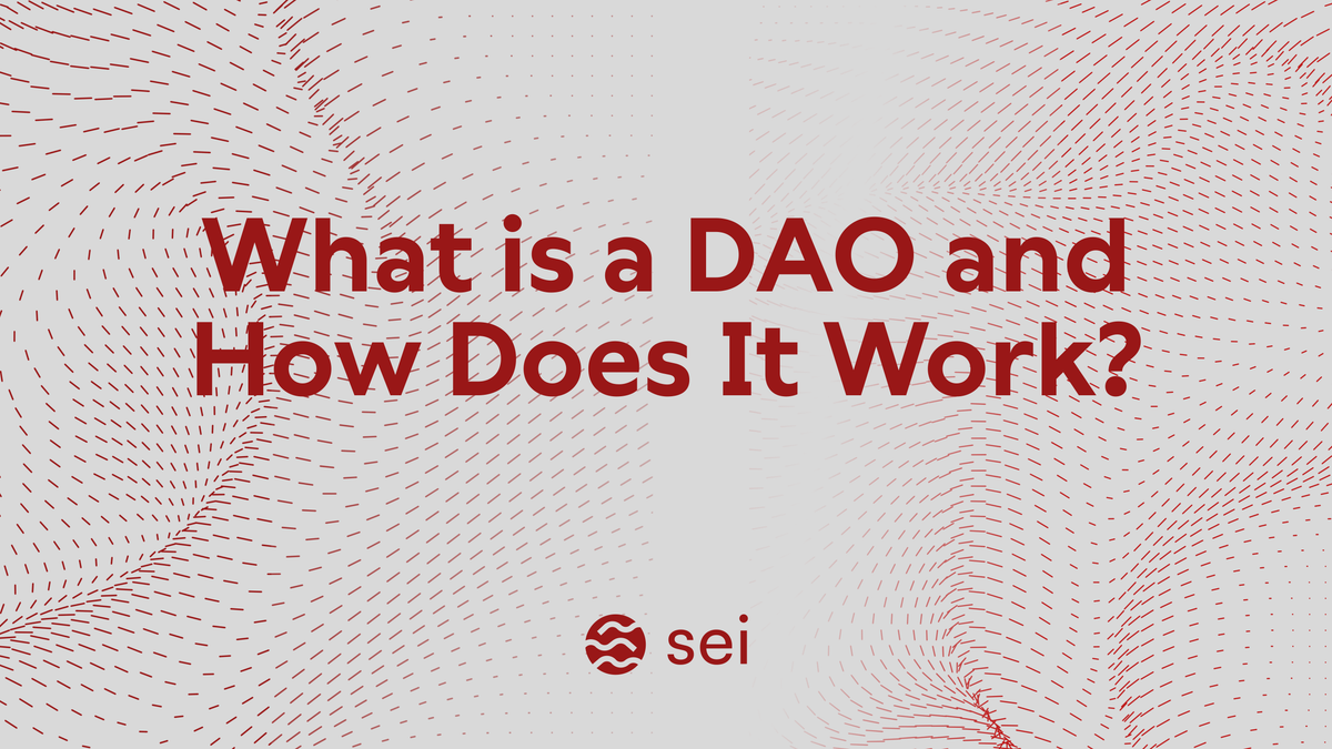 What is a DAO? (Sei Web3 Developer's Guide)